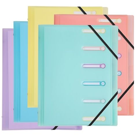 Trieur plastique Chromaline Exacompta 3 rabats 6 divisions - couleurs assorties - Lot de 10 (1/3)