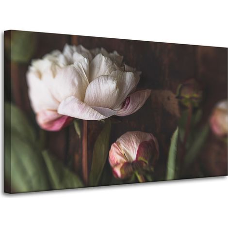 Lienzo impreso Botánica Flor Peonías 100x60 cm Ramo de flores Flora