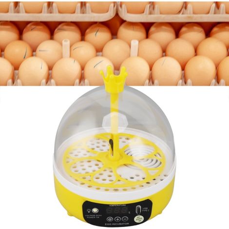 Mini incubateur à œufs pour la maison, contrôle automatique de la température et de l'humidité, mirage de 4 œufs, machine à éclore pour volailles (poulets, canards, pigeons), retournement manuel (1/5)