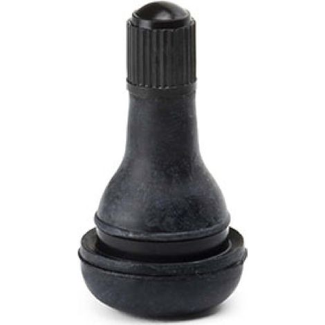 10 Valves de roues TR415