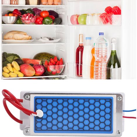 Générateur d'ozone portable à plaques céramiques 220 V, 5 g/h, stérilisateur, purificateur d'air et d'eau (1/5)