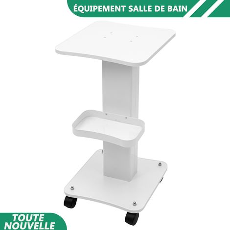 WAOBDLA 40kg/88 Lbs panier de beauté panier de stockage avec 4x roues universelles (1/5)