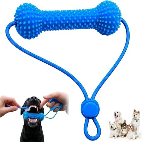 Accesorio dental de doble acción para perros, juguete masticable reutilizable 2 en 1 para perros (1/5)