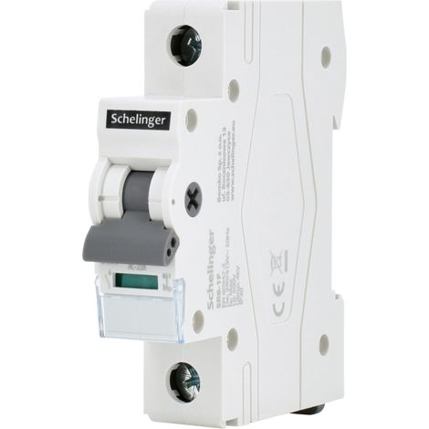 Interrupteur sectionneur 1P 63A - Rail TH35 - Pouvoir de coupure 4kV - IP20 (1/5)