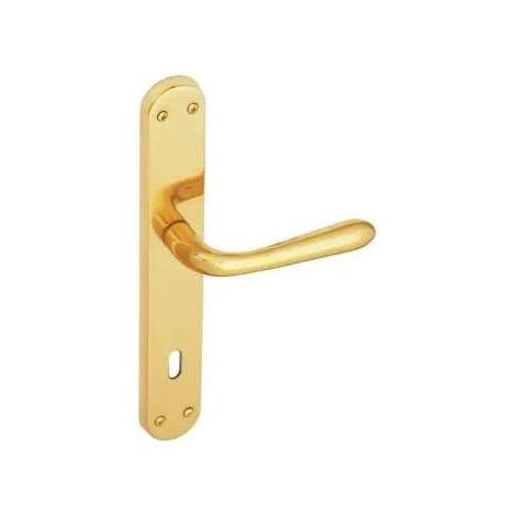 Maniglia Sei Zlv Placca Patent Maggiorata (1/2)