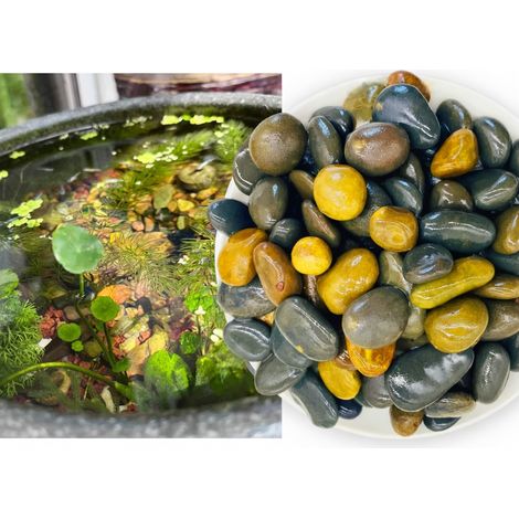 Sable naturel pour aquarium 10 kg (1/5)