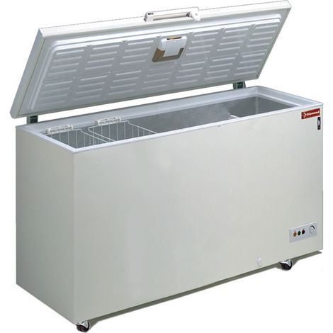 Congélateur bahut 300 litres - Diamond (1/3)