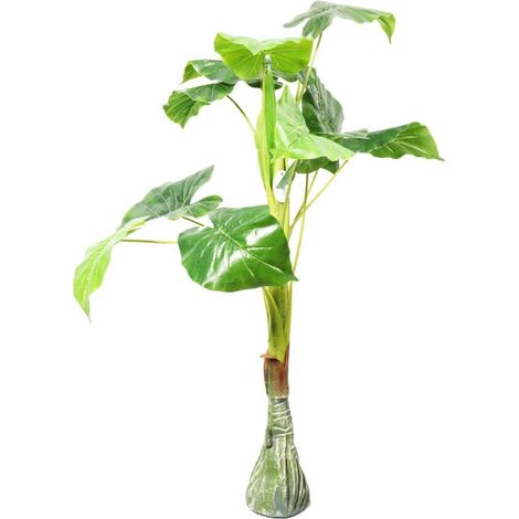 Albero ornamentale da terra - Verde, con grandi foglie, altezza 90 cm (1/3)