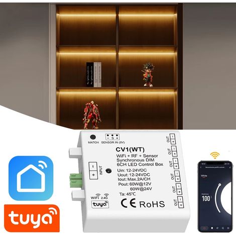 Tuya Centralina Dimmer Smart WiFi + RF + Sensore a 6 Canali per Strisce LED 12/24V (1/5)