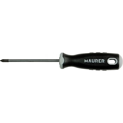 CACCIAVITE POZIDRIV MAURER PLUS PZ0X 60 - CF.PLACCHETTA