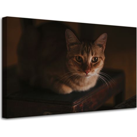 Lienzo impreso con la imagen de un gato doméstico (80x50 cm). (1/4)