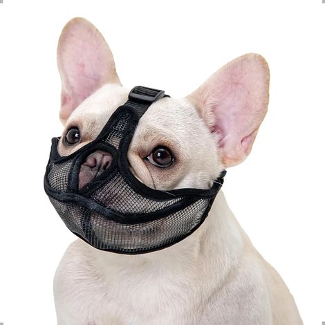 Muselière pour bouledogue français, ne couvre pas le front, pour chiens à museau court, maille respirante ajustable, anti-morsure, anti-mâchouillage, anti-aboiement (taille S, noir) (1/5)