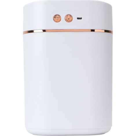 Humidificateur d'air 3L avec double buse, humidification à 360°, humidificateur de bureau rechargeable par USB avec lumière d'ambiance colorée (doré) (1/5)