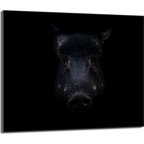 Placa protectora de vidrio para estufa 60x52 Jabalí (1/5)