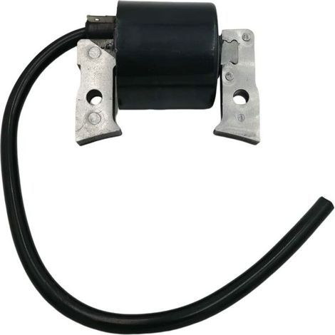 Le pack haute tension de bobine d'allumage convient pour 21121-2008FC400V FC420V AM101065 (1/4)