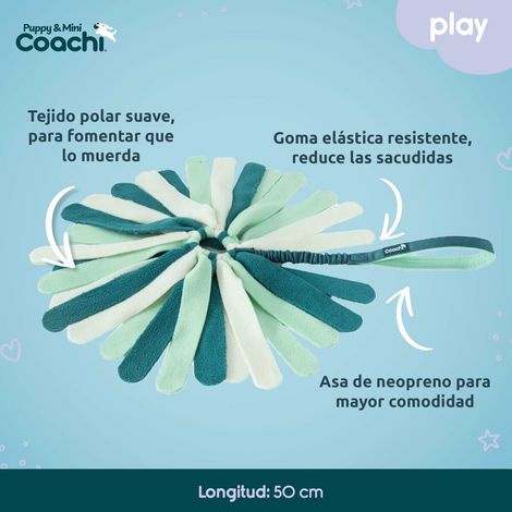 Giocattolo educativo per cani - Company of Animals - Tuggi Spider - 15x5x39 cm - Blu Turchese e Menta (1/5)