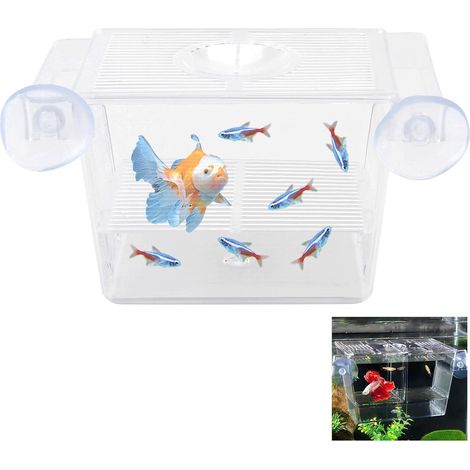 Mini aquarium incubateur avec ventouses, pour élevage alevins, Guppy, Betta
