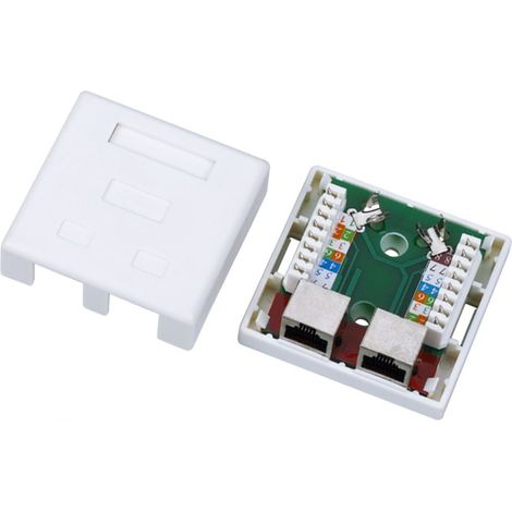 Alan - A-lan - ftp-Anschluss cat 5e 2 x rj45 mjpeg (gn004)