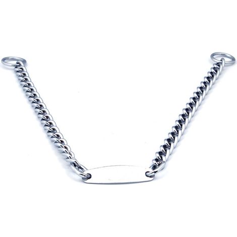 Collier étrangleur pour chien avec chaîne en métal et étiquette d'identification pour le dressage des petits, moyens et grands animaux de compagnie (3,5 mm x 60 cm) (1/5)
