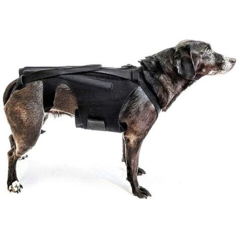 Rückenstütze (Größe M) für kleine Hunde, Arthritis, Genesung nach Wirbelsäulenoperationen, Bandscheibenvorfälle, Bandscheibenprolaps, Rehabilitation – Dackel, Corgis