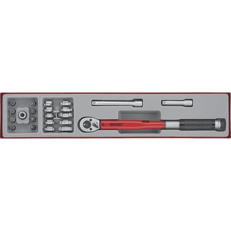 Clé dynamométrique pour droitiers TTX4 tray 3/8 20-110nm 22pc Teng Tools TTX3892 (1/2)