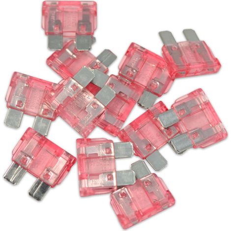 Fusibles enchufables de 4 A, paquete de 25 unidades – Color rosa para una fácil identificación – Dimensiones: 19 x 4,5 mm – Protección de la instalación eléctrica