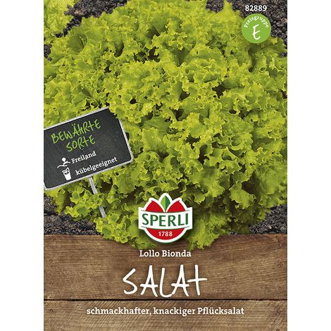 Sperli – Laitue à cueillir Lollo Bionda (Lactuca sativa) – Graines de légumes, feuilles vertes frisées et dentées, hauteur env. 20 cm (1/2)