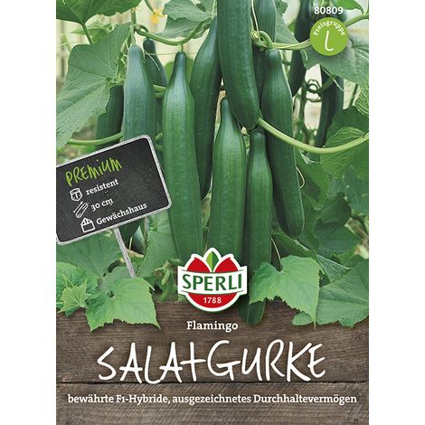 Sperli – Concombre Flamingo F1 (Cucumis sativus) – Graines de légumes, fruits lisses d'env. 30 cm (1/2)