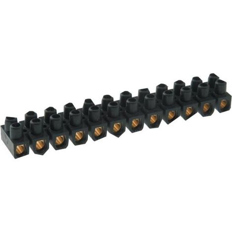 Barrettes de connexion 12 plots 10mm² 32A L'ÉBÉNOÏD 086821 (1/2)