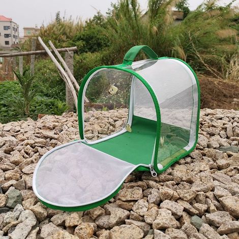 202020 Cage à insectes et papillons avec poignée de transport (1/5)