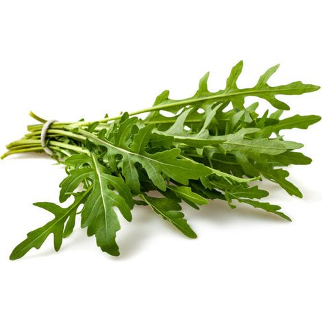 Semi di rucola "Da orto" piante per orto e giardino coltivazione domestica e professionale