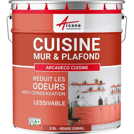 Peinture cuisine, lessivable, absorbe les odeurs - 2.5 L Rouge corail - RAL 3016 - ARCANE INDUSTRIES