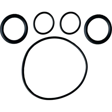 5Pcs For Water Pump Seal Rebuild Kit O-Rings P4071 58113 E02 Spa Pump Water Pump Gasket (1/5)