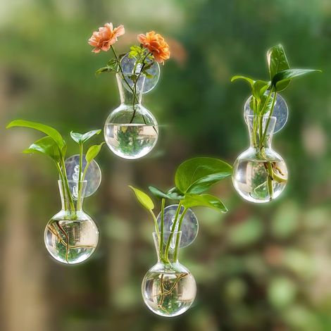 Station de Propagation de Plantes pour Fenêtre: 4 Petits Vases à Bulbes avec Ventouses pour Décoration de Salon Cuisine ou Bureau - Terrarium Suspendu en Verre pour Boutures d'Hydroponie