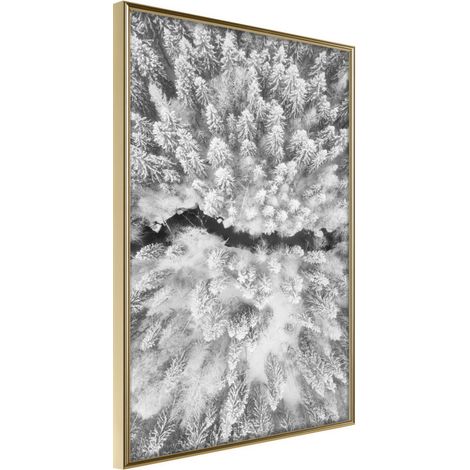 Affiche Murale Encadrée "Frost Land" 40 x 60 cm Or (1/2)