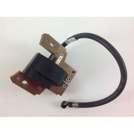 Bobina motore rasaerba tagliaerba BRIGGS & STRATTON 298316 3-701