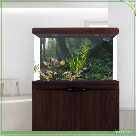 Affiche d'aquarium - FAFEICY - Riverway Green Woods - PVC - Autocollante - 61×41 cm (S) (1/5)