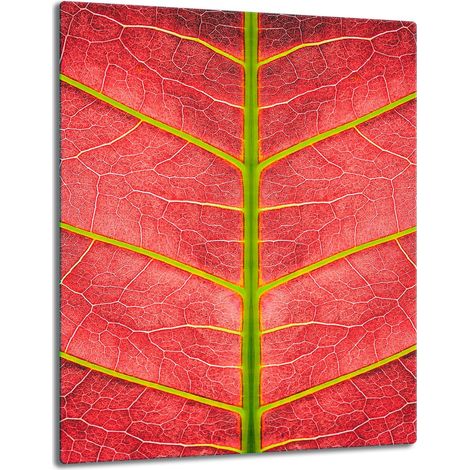TABLERO DE MESA CON PANEL DE CRISTAL DE 40x52 cm (EXTENSIBLE) (1/5)