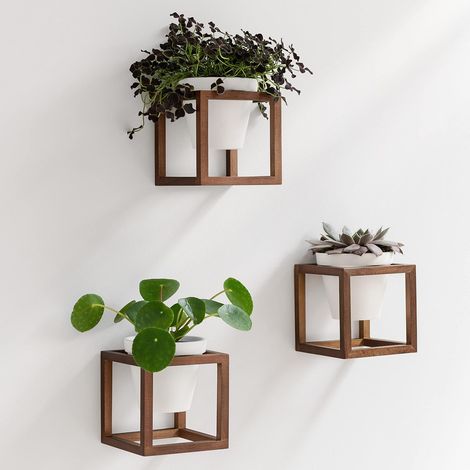 Jardinières Murales,Pots de Fleurs Suspendus dans des Cadres en Bois Massif,Ensemble de Porte-Plantes en Céramique et Bois pour Murs, Tables et Plus,Brun Noyer (1/5)