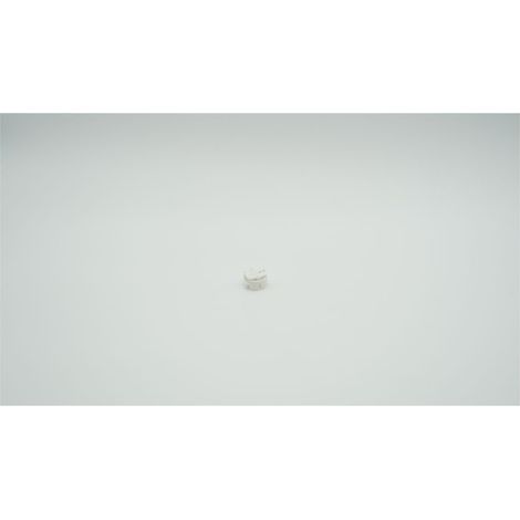 BWT Ansteckfassung für 26er Lampe G13, 1-442437
