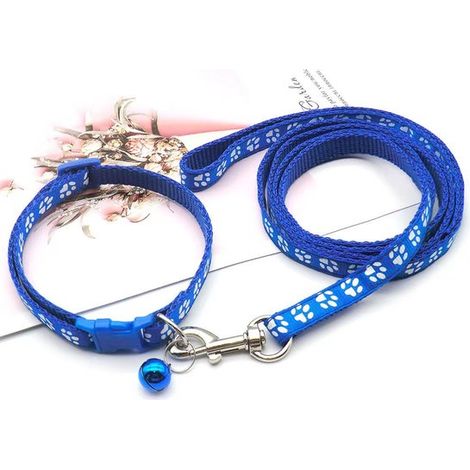 Collier pour chiot avec laisse, réglable, laisse souple en nylon pour chiots et petits chiens, 1,2 m de long, bleu ciel (1/5)