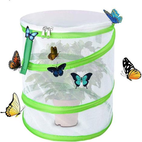 Cage d'habitat pop-up pour insectes et papillons, protection des plantes – DELKEVIC