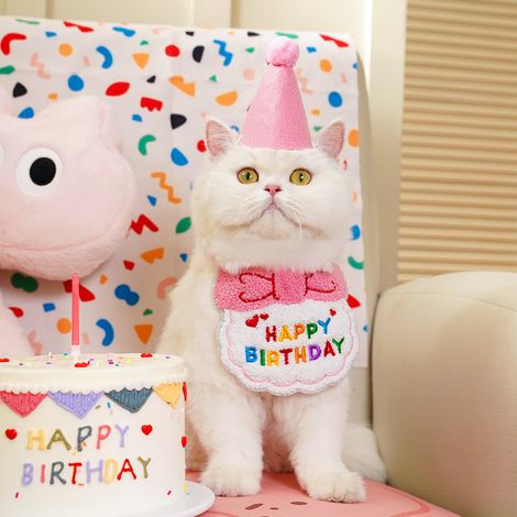1 bavoir déguisement d'anniversaire pour chien ou chat - Bavoirs assortis mignons pour tous les jours - Chapeau en feutrine (1/5)