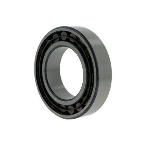 Rodamiento de rodillo toroidal C2220 /C4 INT 100 mm Ext 180 mm EP. 46 mm SKF