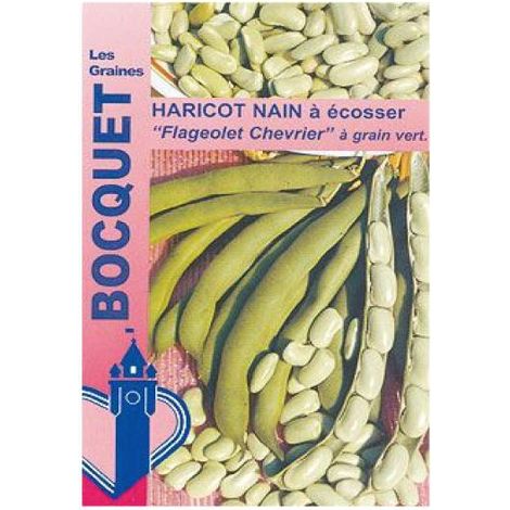 Haricot nain à écosser 'Flageolet Chevrier' le sachet de 300 graines (90g)
