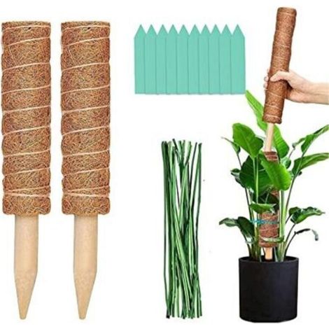 Tuteur Plante Grimpante Intérieur, Tuteur Monstera Coco, Tuteurs pour Plantes 50 Cm, Support pour Plantes Grimpantes D'intérieur Tuteur Plante Mousse A Feuille Lot De 2 Kit (1/5)