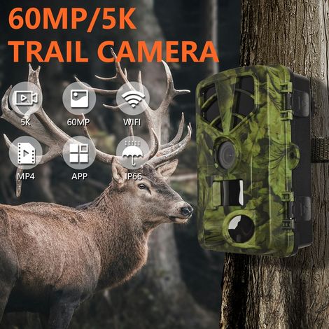 Lot De 4 Supports De Caméra D'extérieur – Vis Réglable 6,35 Mm – En Fer Robuste – Pour Caméra De Chasse Ou Surveillance Nature