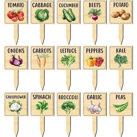 Etichette per ortaggi, segnaposto in legno a forma di T, cartelli per ortaggi con disegni stampati. Per giardinieri amatoriali, aiuole rialzate, serre, patii, balconi e uso esterno. (1/5)
