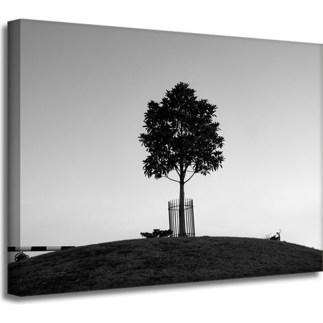Impression sur toile Arbre de la nature 40x30 cm