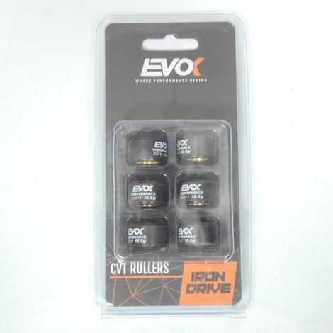 Variomatik-Rolle EVOK für Roller MBK 250 Skycruiser 2006 bis 2020 (1/4)